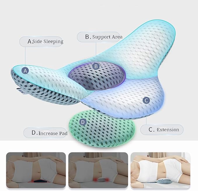 Cushion Back Support Pillow